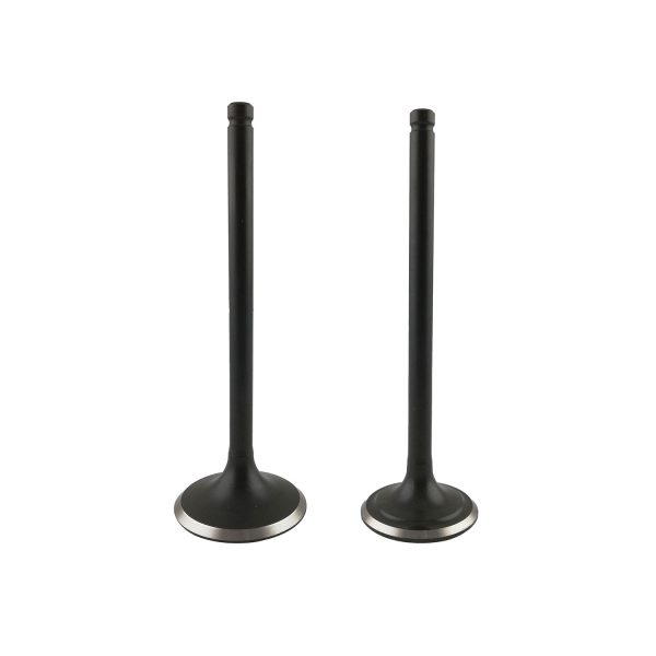 VALVULA DE ADMICION CG 200 X 2 CAJA LATA